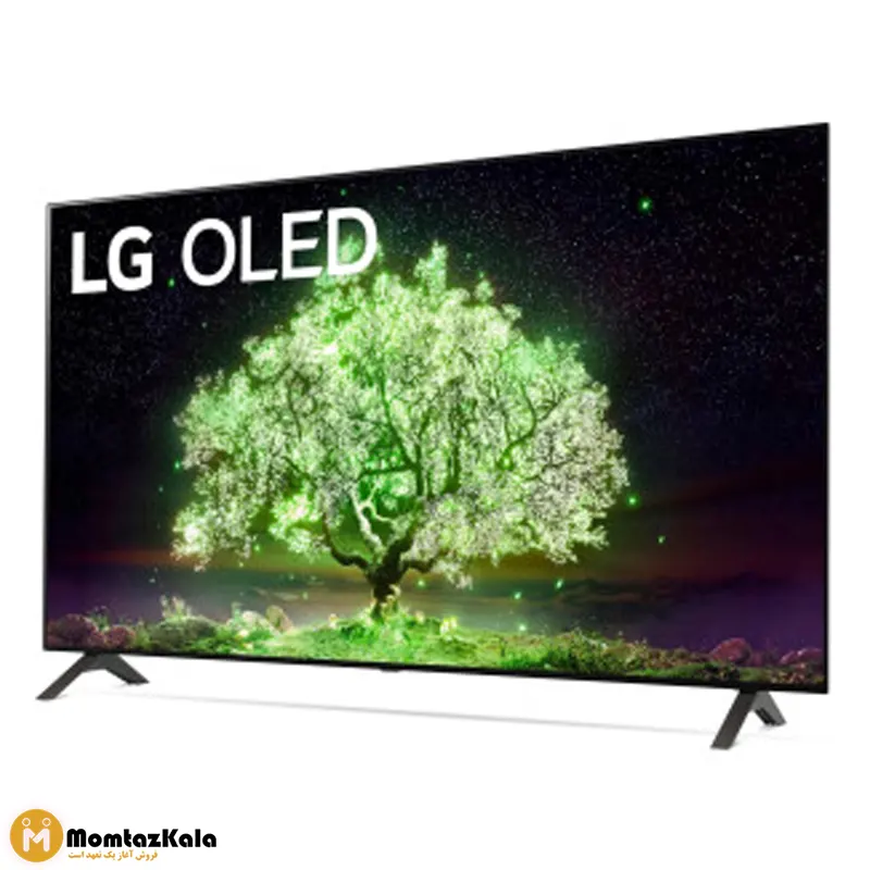 تلویزیون ال جی 65A1