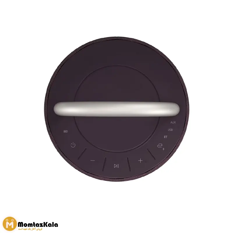 اسپیکر قابل حمل ال جی RP4