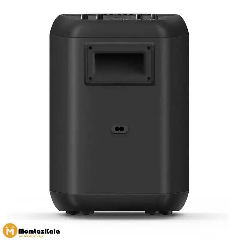 اسپیکر فیلیپس TANX100