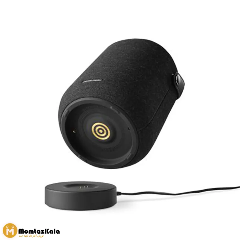 اسپیکر قابل حمل هارمن کاردن Citation 200