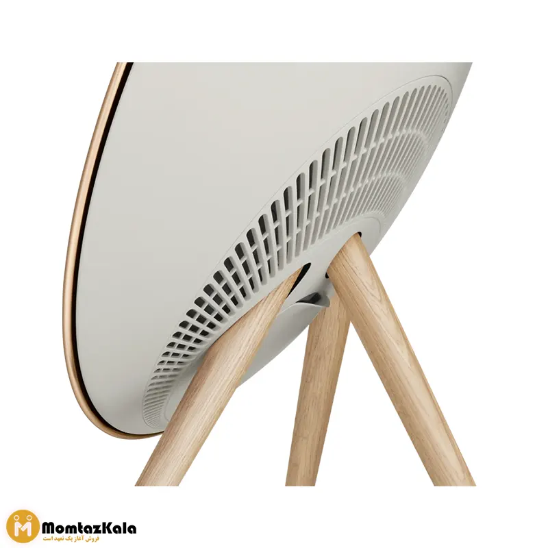 اسپیکر بنگ اند آلفسن BeoPlay A9