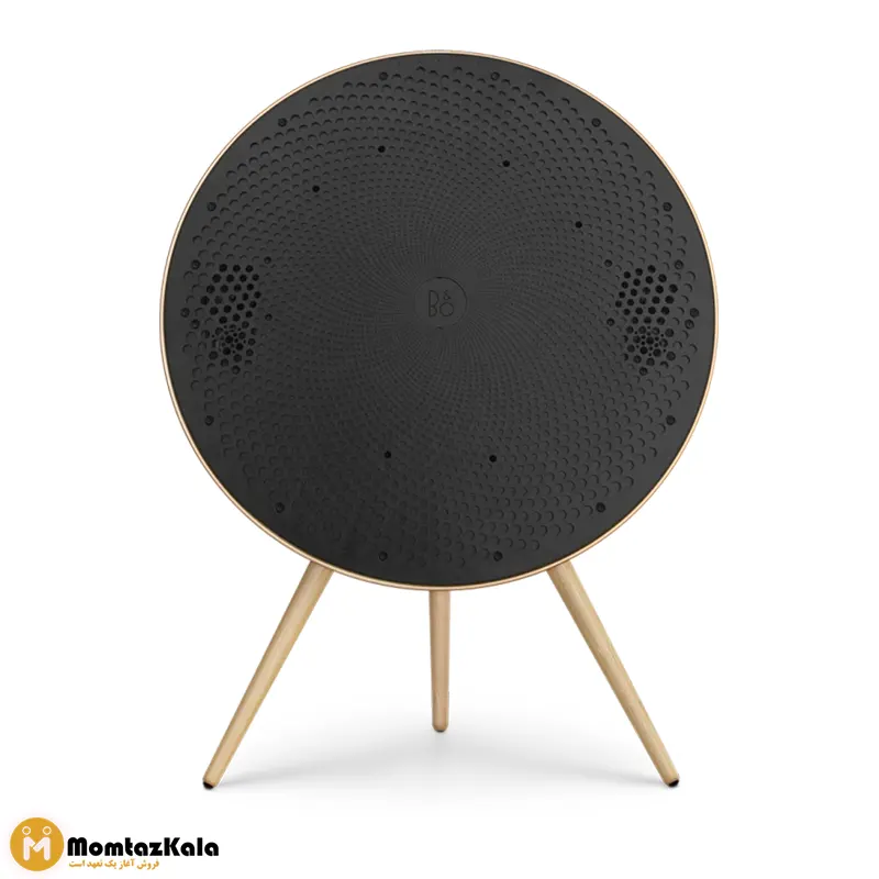 اسپیکر بنگ اند آلفسن BeoPlay A9
