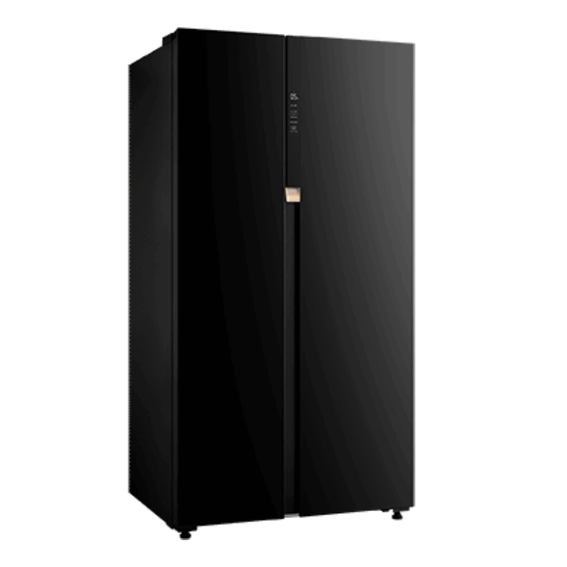 یخچال ساید بای ساید توشیبا RS780 مشکی