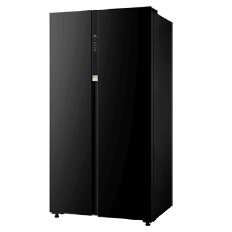 یخچال ساید بای ساید توشیبا RS780 مشکی