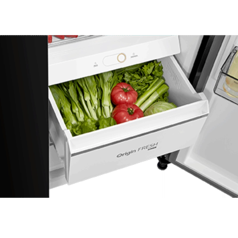 یخچال ساید بای ساید توشیبا RS780 مشکی